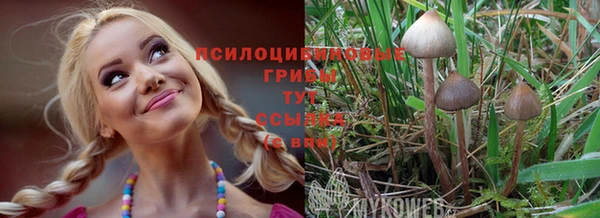 спиды Алексин