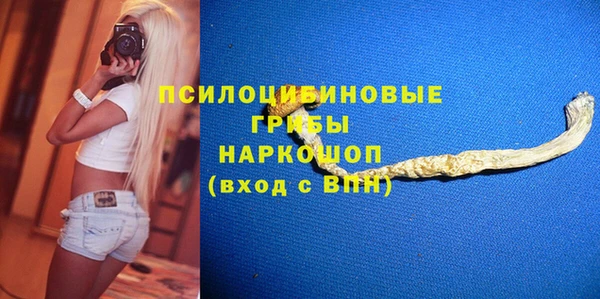 дживик Алексеевка