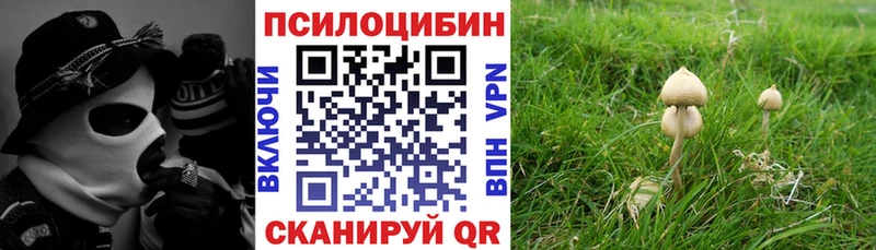 Галлюциногенные грибы ЛСД  Купить закладки  Зерноград 