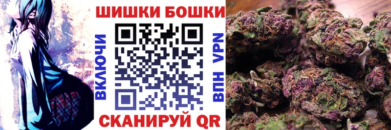Бошки Шишки ГИДРОПОН  Купить закладки  Зерноград 